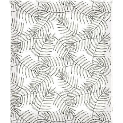 Tropic Genomskinlig Rullgardin - 150x180 cm Fönsterlucka Tropic Genomskinlig Rullgardin - 150x180 cm Fönsterlucka