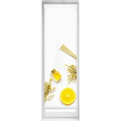Rouleau occultant Easyfix translucide Blindecor - Moderne et Sécurisé Rouleau occultant Easyfix translucide Blindecor - Moderne et Sécurisé