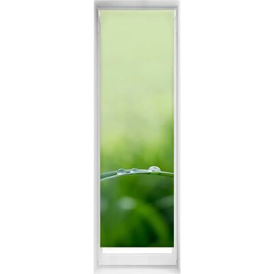 Rouleau Occultant Quietud 40x150 Blindecor - Facile à Installer, Sans Outils Rouleau Occultant Quietud 40x150 Blindecor - Facile à Installer, Sans Outils