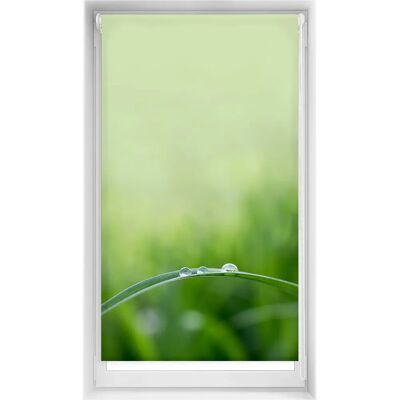 Rideau Enroulable Imprimé Easyfix - Élégant & Pratique - 85x150 Rideau Enroulable Imprimé Easyfix - Élégant & Pratique - 85x150