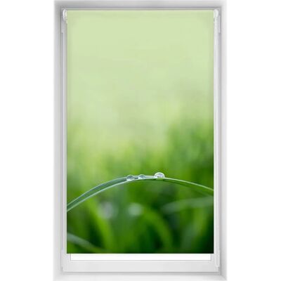 Stores translucides Easyfix sans percer - 90x150, Quietud Stores translucides Easyfix sans percer - 90x150, Quietud