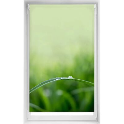Store enroulable Blindecor - Imprimé Easyfix, Sans Perçage - Translucide 95x150 - Quietud Store enroulable Blindecor - Imprimé Easyfix, Sans Perçage - Translucide 95x150 - Quietud