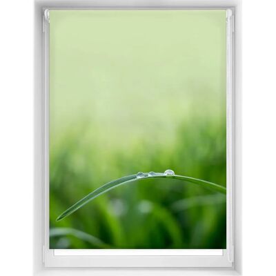 Blindecor Easyfix 100x150cm Volet Roulant Translucide Blindecor Easyfix 100x150cm Volet Roulant Translucide