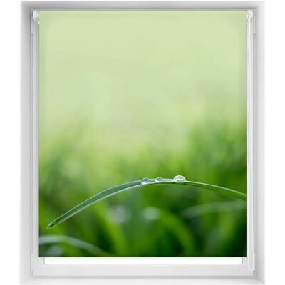 Blindecor Quietud 130x150 - Tenda a Rullo Moderna Blindecor Quietud 130x150 - Tenda a Rullo Moderna