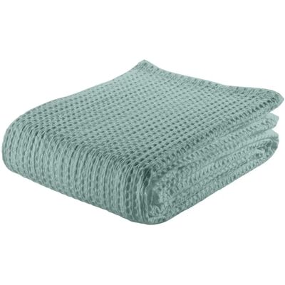 Estelia Kołdra z miodem z bawełny - Aqua Estelia Kołdra z miodem z bawełny - Aqua