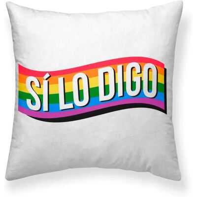 Housse de Coussin BELUM Modèle Multicolore - Housse de Coussin Housse de Coussin BELUM Modèle Multicolore - Housse de Coussin