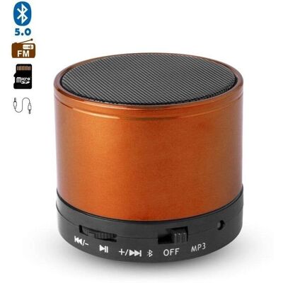 DAM ELECTRONICS - Martins - 3W BT DAM ELECTRONICS - Martins - 3W BT