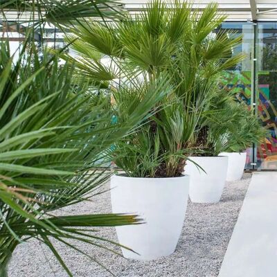 WELLHOME - Accord 40 cm - Blanco - Planter WELLHOME - Accord 40 cm - Blanco - Planter