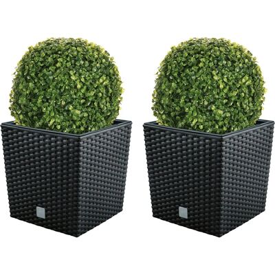 Wellhome - 2x Set di Vasi 32L con Basi di Bosso - Giardino & Interno Wellhome - 2x Set di Vasi 32L con Basi di Bosso - Giardino & Interno