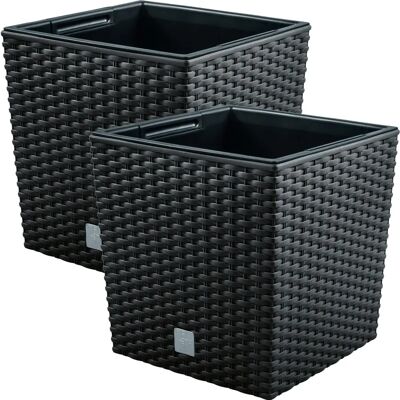 Wellhome Rato Quadro Bajo 40x40x40.8cm - Maceta Wellhome Rato Quadro Bajo 40x40x40.8cm - Maceta