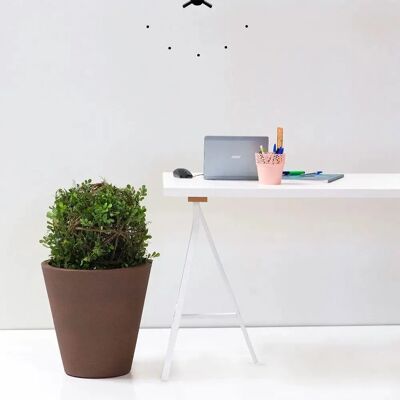 Wellhome Maceta 'corsa' 50cm - Maceta Wellhome Maceta 'corsa' 50cm - Maceta