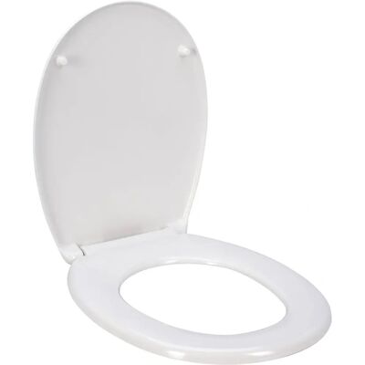 Wellhome Duroplast WC-Sitz - SoftClose - 38x5,5x47cm Wellhome Duroplast WC-Sitz - SoftClose - 38x5,5x47cm