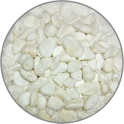 BigBuy Żwir GD31 - Biały - 5 Kg - Żwir BigBuy Żwir GD31 - Biały - 5 Kg - Żwir
