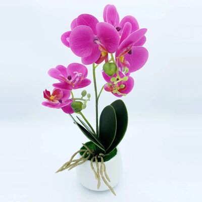 WELLHOME - Orchid - Lilla - 42 cm - Plant WELLHOME - Orchid - Lilla - 42 cm - Plant