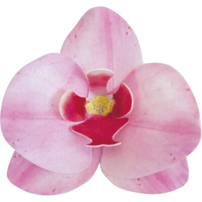 Dékora Orchidées Roses Comestibles - 10 pièces Dékora Orchidées Roses Comestibles - 10 pièces