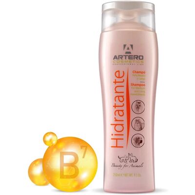 Champô Hidratante Artero (250 ml) Champô Hidratante Artero (250 ml)