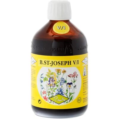 Bio St. Joseph VI Vitalidad 510 g - Suplemento dietético Bio St. Joseph VI Vitalidad 510 g - Suplemento dietético