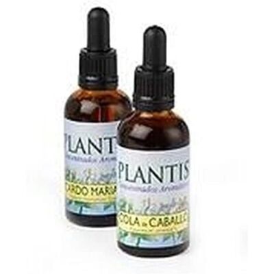 Plantis Buche Eco Blütenelixier - 10 ml Plantis Buche Eco Blütenelixier - 10 ml