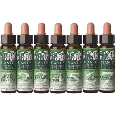 Remédio 4 Medos Inseguranças Eco Elixir Floral Remédio 4 Medos Inseguranças Eco Elixir Floral