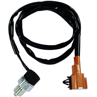 FAE Schalter - Braun - M14x1,5 - 2 Pole - 12V FAE Schalter - Braun - M14x1,5 - 2 Pole - 12V