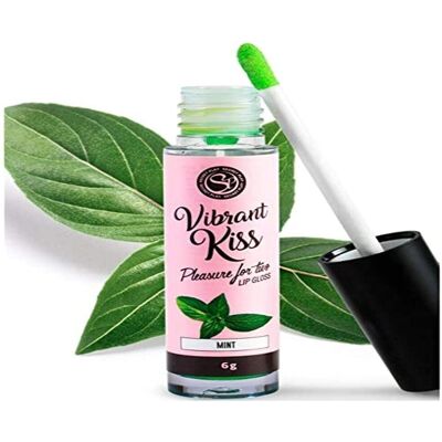 Vibrant Kiss ajakfény - Menta - Lip Gloss - Vibrant Kiss - Secretplay Vibrant Kiss ajakfény - Menta - Lip Gloss - Vibrant Kiss - Secretplay