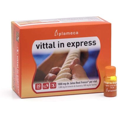 Plameca Vittal Royal Jelly - Vitality Dietary Supplement Plameca Vittal Royal Jelly - Vitality Dietary Supplement