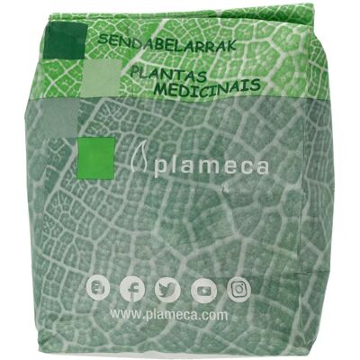 Plameca Green Tea Whole 1kg - Green Tea Plameca Green Tea Whole 1kg - Green Tea