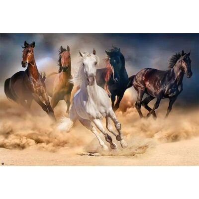 Grupo Erik Five Horses Poster 91,5x61cm - Poster Grupo Erik Five Horses Poster 91,5x61cm - Poster