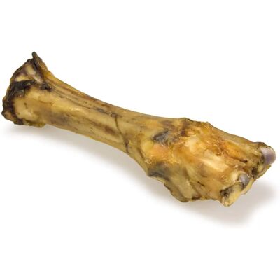 Snack osso di manzo Arquivet per cani - Naturale, Salute dentale, Duraturo Snack osso di manzo Arquivet per cani - Naturale, Salute dentale, Duraturo