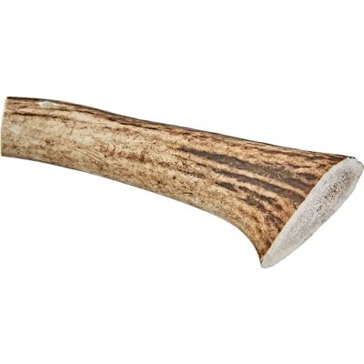 Arquivet Nervio De Toro 12.5 Cm - Friandises pour Chiens Arquivet Nervio De Toro 12.5 Cm - Friandises pour Chiens