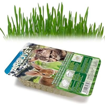 Arquivet Kat Grass - Vers en Zacht - 100g Arquivet Kat Grass - Vers en Zacht - 100g