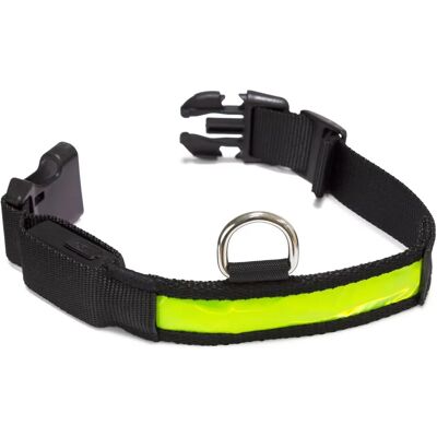 Gult LED-lysande hundhalsband 38-50cm/2,5cm Gult LED-lysande hundhalsband 38-50cm/2,5cm