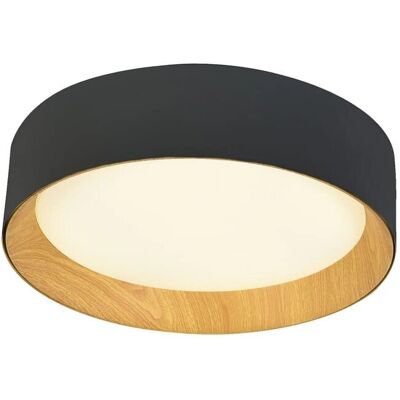 Cristal Record Lighting Lea Luz de Techo LED - Negro Cristal Record Lighting Lea Luz de Techo LED - Negro