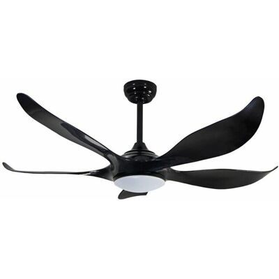 Cristal Record Noro Ventilador de Techo LED DC 5 Aspas - Ventilador de Techo Cristal Record Noro Ventilador de Techo LED DC 5 Aspas - Ventilador de Techo
