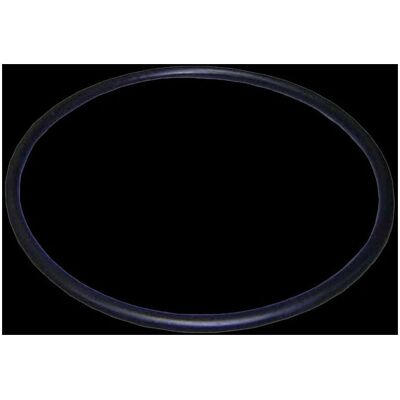 Astralpool Victory Plus/Columbia/Glass Plus Pumpen Dichtung - O-Ring Astralpool Victory Plus/Columbia/Glass Plus Pumpen Dichtung - O-Ring