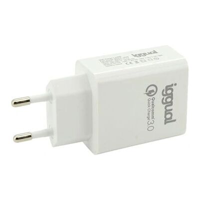 iggual IGG317174 Mobilgerät-Ladegerät - 2 USB, Schnellladung iggual IGG317174 Mobilgerät-Ladegerät - 2 USB, Schnellladung