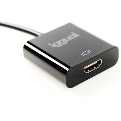 iggual IGG318041 Adaptador de cable de vídeo - 0,25 m DisplayPort HDMI Negro iggual IGG318041 Adaptador de cable de vídeo - 0,25 m DisplayPort HDMI Negro