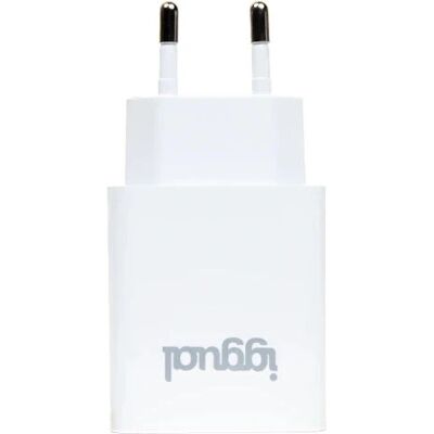 iggual IGG318188 Chargeur mural USB 12W - Chargeur pour mobile - Publicité iggual IGG318188 Chargeur mural USB 12W - Chargeur pour mobile - Publicité