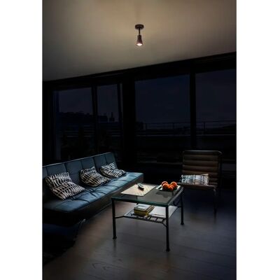 Forlight Safran Spot Singolo Marrone Forlight Safran Spot Singolo Marrone