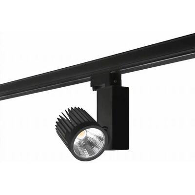 Edison Schwarzer Einbau-Spot - Innenraum 3000K 1745lm Edison Schwarzer Einbau-Spot - Innenraum 3000K 1745lm
