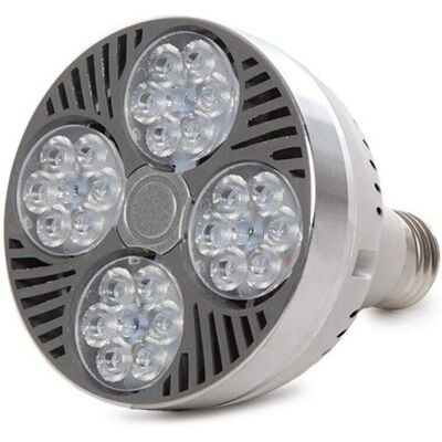GREENICE LED Glühbirne 35W 2800lm 6000K E27 GREENICE LED Glühbirne 35W 2800lm 6000K E27