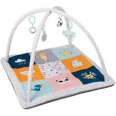 Eurekakids Gym et Tapis de Jeu pour Bébés - Poupées Sensoriales & Éléments Amovibles - Publicité Eurekakids Gym et Tapis de Jeu pour Bébés - Poupées Sensoriales & Éléments Amovibles - Publicité