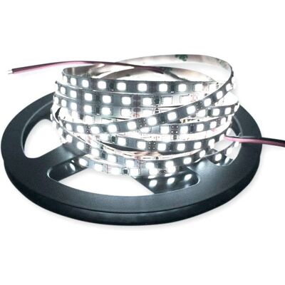 Barcelona LED Linea LED 24V-DC Bianco caldo - Striscia LED Barcelona LED Linea LED 24V-DC Bianco caldo - Striscia LED