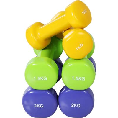 Homcom Juego de Mancuernas Ajustables - 8 piezas, Multicolor Homcom Juego de Mancuernas Ajustables - 8 piezas, Multicolor
