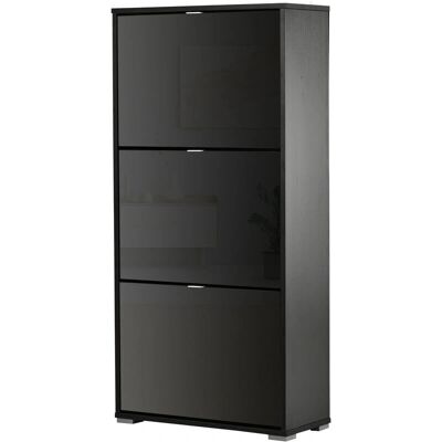 Homcom Armario de Zapatos Negro 60x26x124cm Mueble Moderno y Ahorrador Espacio Homcom Armario de Zapatos Negro 60x26x124cm Mueble Moderno y Ahorrador Espacio