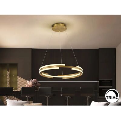 Schuller D60 Gold Pendant Ceiling Light - Ceiling Lamp Schuller D60 Gold Pendant Ceiling Light - Ceiling Lamp