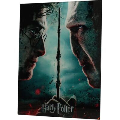 SD Toys Harry & Voldemort Glass Poster - 40x30cm SD Toys Harry & Voldemort Glass Poster - 40x30cm
