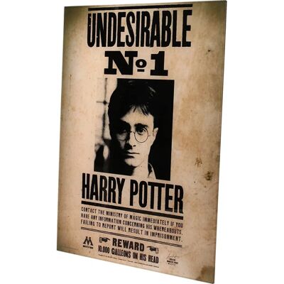 Poster Verre Harry Potter N° 1 - 40x30cm - SD Toys - Publicité Poster Verre Harry Potter N° 1 - 40x30cm - SD Toys - Publicité