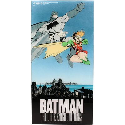 Poster en Verre Batman Robin - 60x30cm - SD Toys Wallscroll - Publicité Poster en Verre Batman Robin - 60x30cm - SD Toys Wallscroll - Publicité