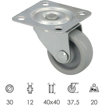 Wolfpack Modèle - Roue de 30mm diamètre avec plaque Wolfpack Modèle - Roue de 30mm diamètre avec plaque